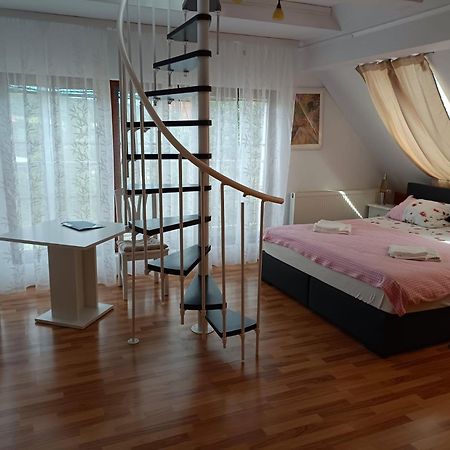 Апартаменти Pension Donaublick Grein 2 In Stifterstrasse19. Екстер'єр фото